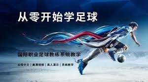 深入分析法国报纸最新动态与趋势